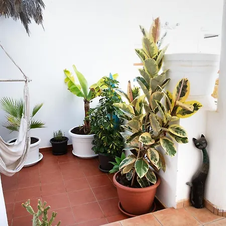 Surf Dream Surfhouse Коральео