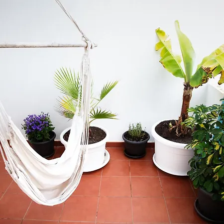 Surf Dream Surfhouse Хостел *