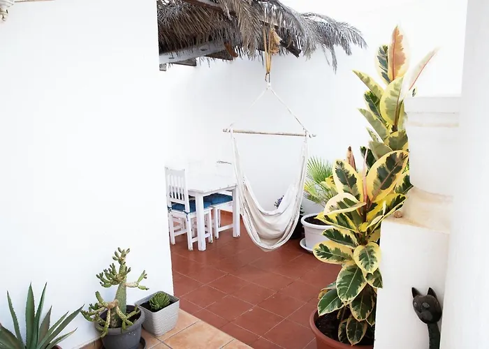 Surf Dream Surfhouse コラレホ