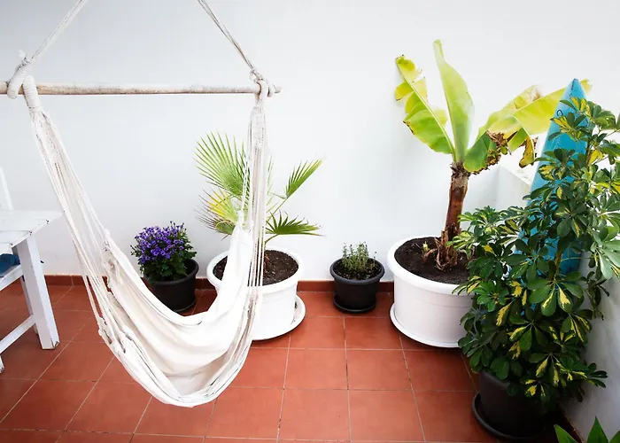 Surf Dream Surfhouse Hostal *