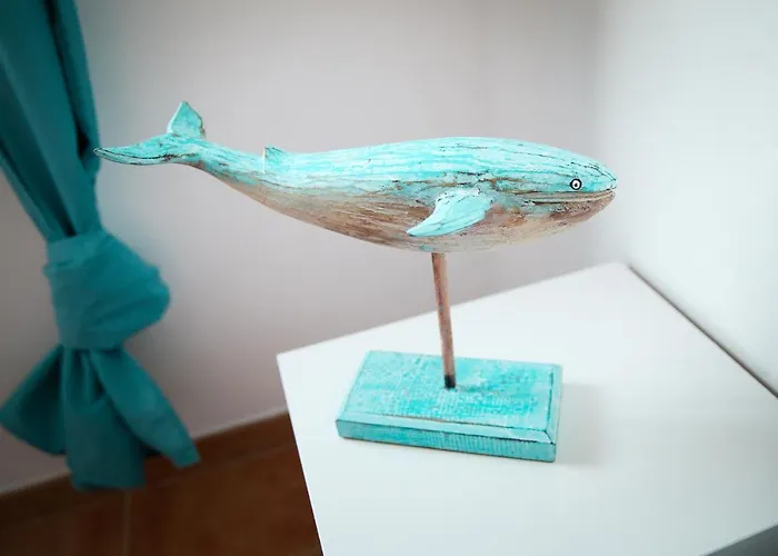 Surf Dream Surfhouse * Corralejo