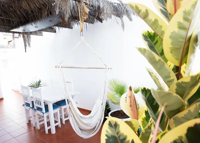 Surf Dream Surfhouse *