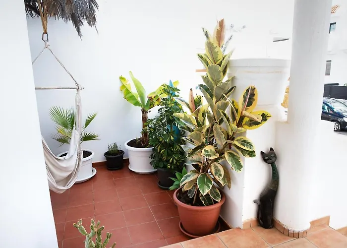 Surf Dream Surfhouse Corralejo