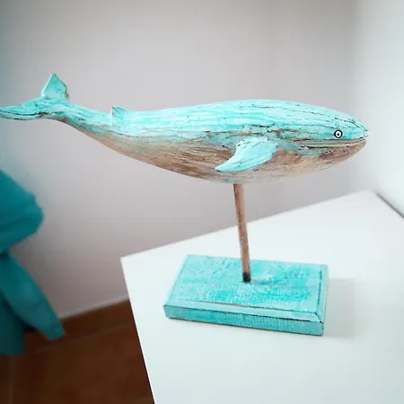 Surf Dream Surfhouse * Corralejo