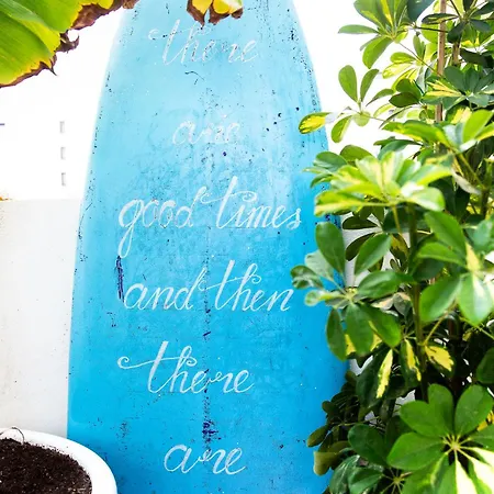 Surf Dream Surfhouse Hostel